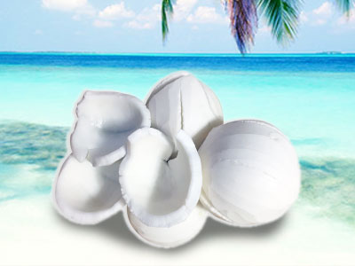 white-coconut-meat